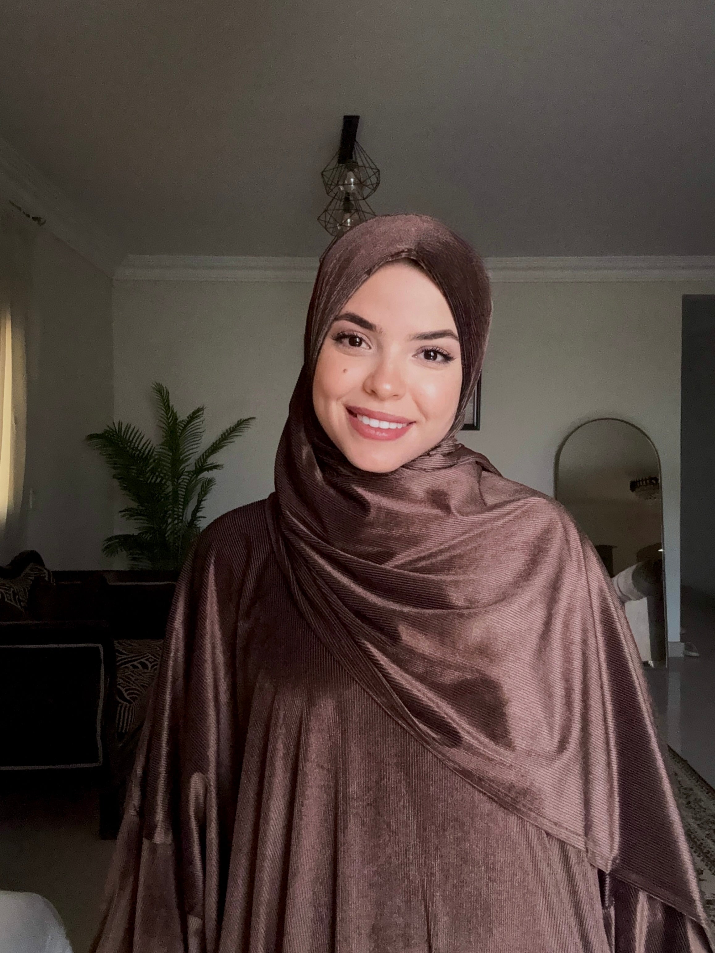 Ribbed Velvet - Mocha Brown